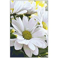 Алмазная мозаика Алмазная Фея A-0059-6040. A-0059-6040