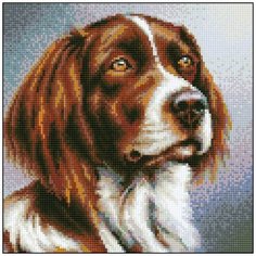 Алмазная мозаика Алмазная Фея 0148. Гром