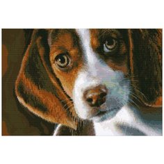 Алмазная мозаика Алмазная Фея A-0091-6040. A-0091-6040