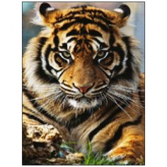 Алмазная мозаика Алмазная Фея A-0416. Хищник