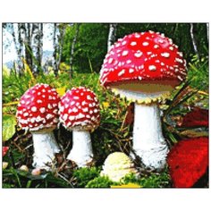 Алмазная мозаика Алмазная Фея A-0148. A-0148