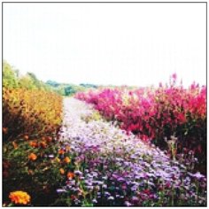 Алмазная мозаика Алмазная Фея A-0244. Убегающие за горизонт