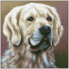 Алмазная мозаика Алмазная Фея 0145. Арчи