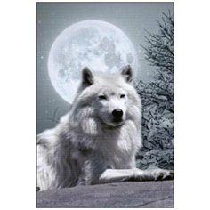 Алмазная мозаика Алмазная Фея A-0124. A-0124