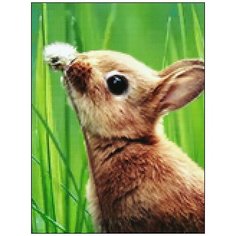 Алмазная мозаика Алмазная Фея A-0181. Зайчик с одуванчиком