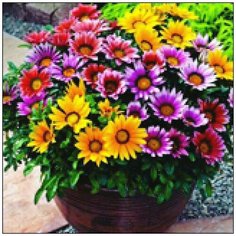 Алмазная мозаика Алмазная Фея A-0286. Ярчайший букет