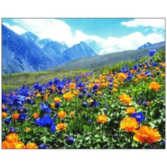 Алмазная мозаика Алмазная Фея A-0220. Покоряя вершины