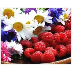 Алмазная мозаика Алмазная Фея A-0195. Спелая малинка