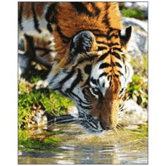 Алмазная мозаика Алмазная Фея A-0127. A-0127