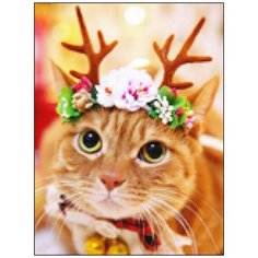 Алмазная мозаика Алмазная Фея A-0313. Рожки на макушке