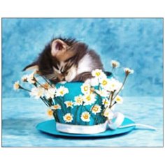 Алмазная мозаика Алмазная Фея A-0115. A-0115