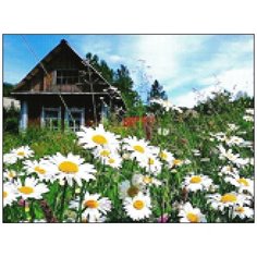 Алмазная мозаика Алмазная Фея A-0196. В деревне у бабушки