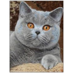 Алмазная мозаика Алмазная Фея A-0296. Британец