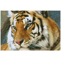 Алмазная мозаика Алмазная Фея A-0046-6040. A-0046-6040