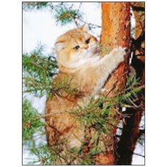 Алмазная мозаика Алмазная Фея A-0406. Рыжик