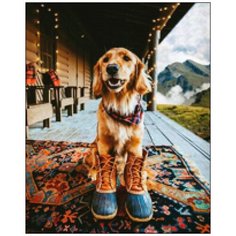 Алмазная мозаика Алмазная Фея A-0292. В самый раз!