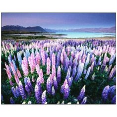 Алмазная мозаика Алмазная Фея A-0222. На берегу озера