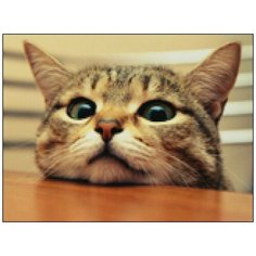 Алмазная мозаика Алмазная Фея A-0329. Привет!