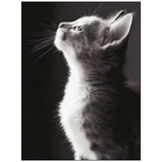 Алмазная мозаика Алмазная Фея A-0298. Идущий на свет