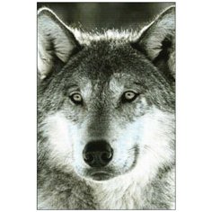 Алмазная мозаика Алмазная Фея A-0112. A-0112