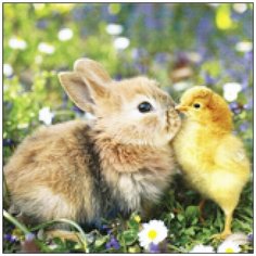 Алмазная мозаика Алмазная Фея A-0264. Давай дружить?