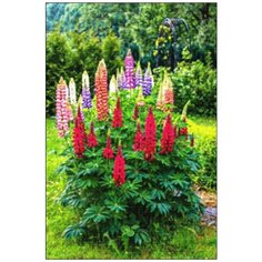 Алмазная мозаика Алмазная Фея A-0214. Цветущий кустарник