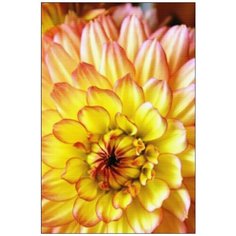 Алмазная мозаика Алмазная Фея A-0141. A-0141