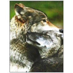 Алмазная мозаика Алмазная Фея A-0143. A-0143