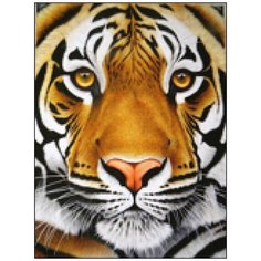 Алмазная мозаика Алмазная Фея A-0342. Взгляд хищника