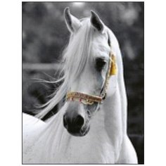 Алмазная мозаика Алмазная Фея A-0304. Белоснежная