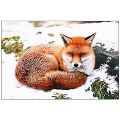 Алмазная мозаика Алмазная Фея A-0175. Клубочек