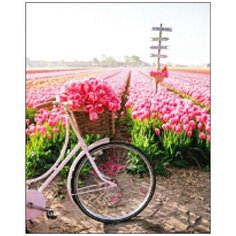 Алмазная мозаика Алмазная Фея A-0232. Следующая остановка