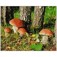 Алмазная мозаика Алмазная Фея A-0139. A-0139