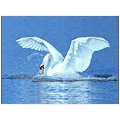 Алмазная мозаика Алмазная Фея A-0176. Раскинув крылья