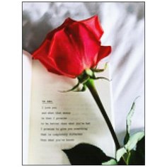 Алмазная мозаика Алмазная Фея A-0319. Признание в любви