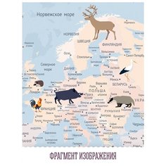 Фотообои флизелиновые Топ Фотообои Карта мира для детей на голубом фоне 400х270 (ШхВ) светло-синий/голубой/светло-бежевый/светло-коричневый/белый