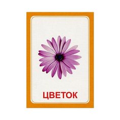 Логопедка Ц, Вундеркинд с пеленок (набор карточек)