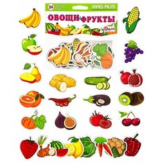 Овощи и фрукты, Анданте (развивающая игра на магнитах, 24 шт, NF1021)