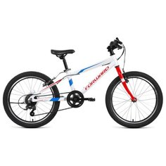 Велосипед Forward Rise 20 2.0 рост 11" 2019 оранжевый/белый