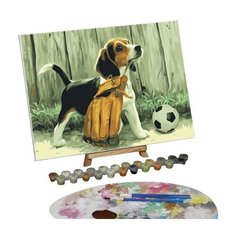 Картина по номерам на холсте "Щенок с мячом", 40*30 см 5177186 Школа талантов