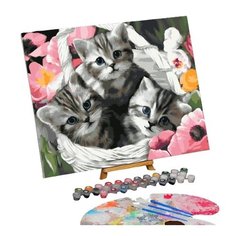 Картина по номерам на холсте с подрамником "Котята" 40*50 см 5351081 Школа талантов