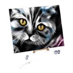 Картина по номерам на холсте с подрамником "Котик" 40*50 см 5248138 Школа талантов