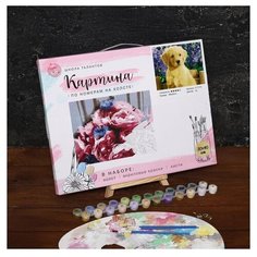 Картина по номерам на холсте "Щенок лабрадора", 40*30 см 5177191 Школа талантов