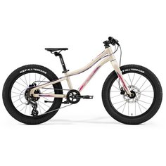 Велосипед MERIDA Matts J20+ 2021 песочный one size