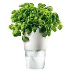 Горшок для растений с функцией самополива Ø11 см белый Eva Solo