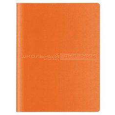 Дневник школьный "SIDNEY NEBRASKA" (розовый) Альт