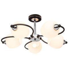 Потолочная люстра Silver Light Tefiya 704.59.5