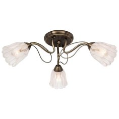 Потолочная люстра Silver Light Azalea 504.53.3