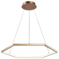 Подвесной светодиодный светильник Favourite Hexagon 2103-6P