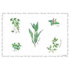 Салфетка под горячее "Herbarium" Easy Life
